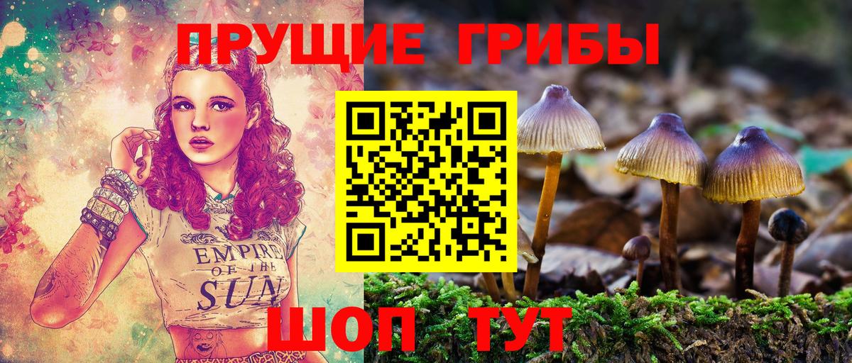 Галлюциногенные грибы Psilocybine cubensis  Вход с VPN  Пушкино 